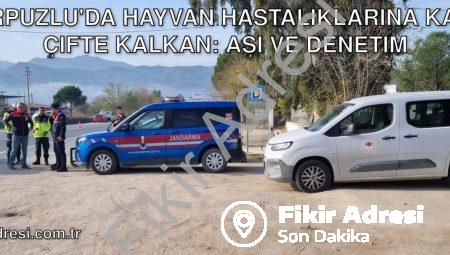 Karpuzlu’da Hayvan Hastalıklarına Karşı Çifte Kalkan: Aşı ve Denetim