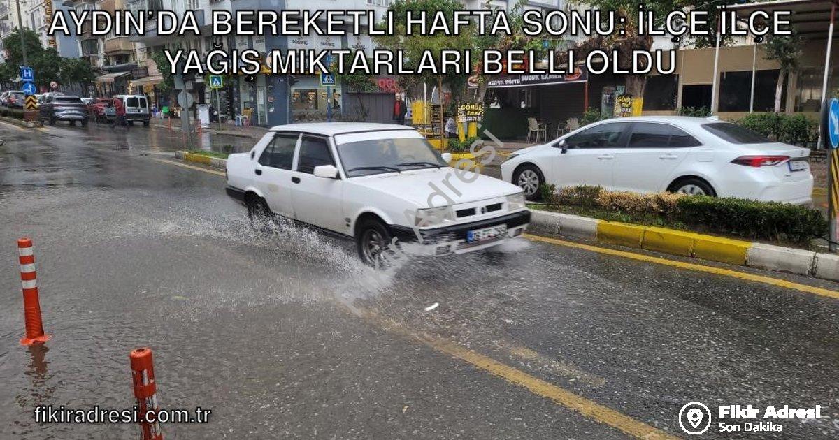 "Aydın’da Bereketli Hafta Sonu: İlçe İlçe Yağış Miktarları Belli Oldu" başlıklı haber için fotoreali