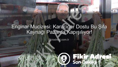 Enginar Mucizesi: Karaciğer Dostu Bu Şifa Kaynağı Pazarda Kapışılıyor!