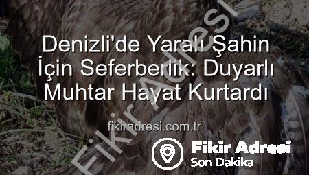 Denizli’de Yaralı Şahin İçin Seferberlik: Duyarlı Muhtar Hayat Kurtardı