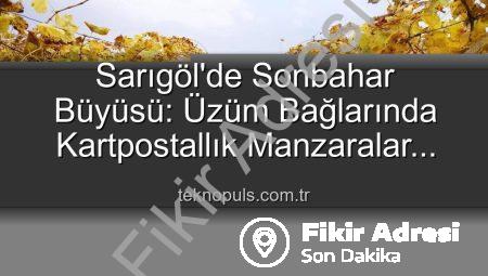 Sarıgöl Bağlarında Görsel Şölen: Budama Mevsiminde Doğanın Renkleri İşçilere Eşlik Ediyor