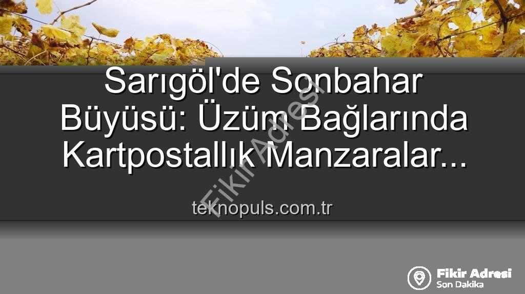 Sarıgöl bağları - Sarıgöl Bağlarında Görsel Şölen: Budama Mevsiminde Doğanın Renkleri İşçilere Eşlik Ediyor