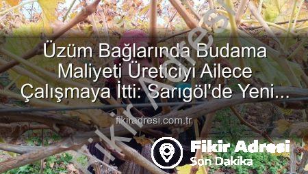 Üzüm Bağlarında Budama Maliyeti Üreticiyi Ailece Çalışmaya İtti: Sarıgöl’de Yeni Dönem