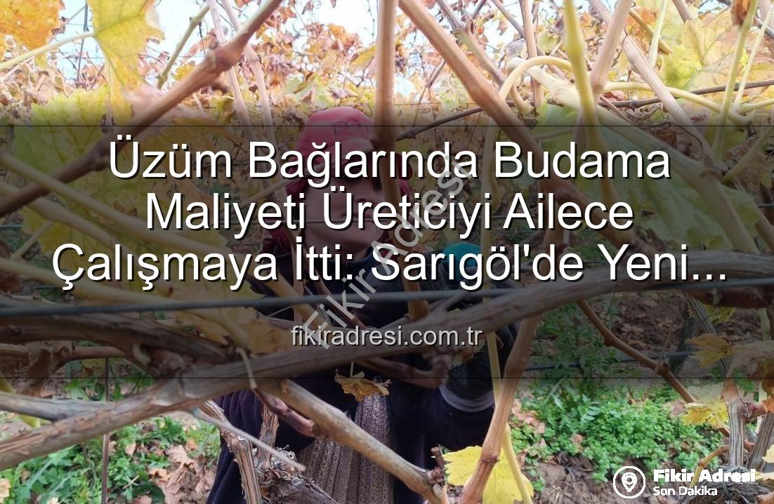 budama maliyeti - Üzüm Bağlarında Budama Maliyeti Üreticiyi Ailece Çalışmaya İtti: Sarıgöl'de Yeni Dönem