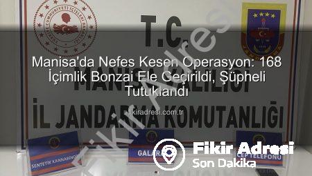 Manisa’da Nefes Kesen Operasyon: 168 İçimlik Bonzai Ele Geçirildi, Şüpheli Tutuklandı