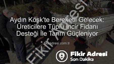 Aydın Köşk’te Bereketli Gelecek: Üreticilere Tüplü İncir Fidanı Desteği İle Tarım Güçleniyor