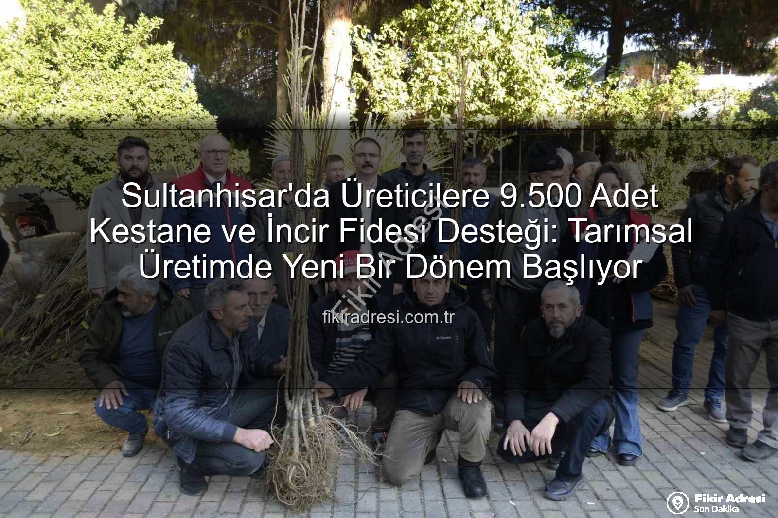 Sultanhisar'da Üreticilere 9.500 Adet Kestane ve İncir Fidesi Desteği: Tarımsal Üretimde Yeni Bir Dönem Başlıyor