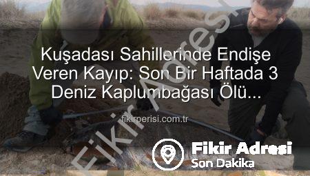 Kuşadası Sahillerinde Üzücü Kayıp: Bir Haftada Üç Deniz Kaplumbağası Ölü Bulundu