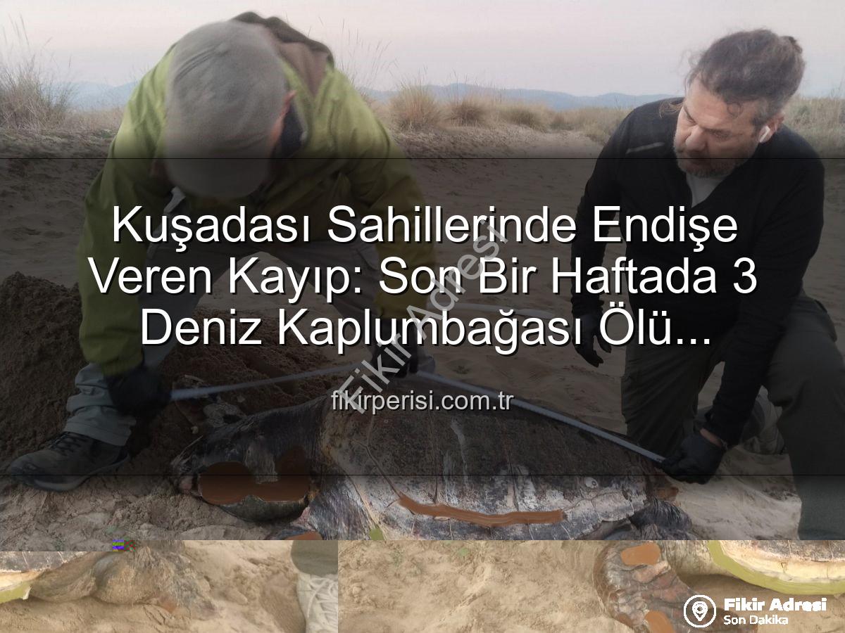 deniz kaplumbağası ölümleri - Kuşadası Sahillerinde Üzücü Kayıp: Bir Haftada Üç Deniz Kaplumbağası Ölü Bulundu