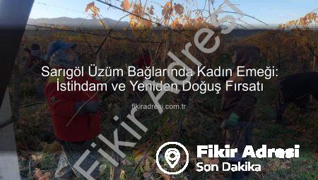 Sarıgöl Üzüm Bağlarında Kadın Emeği: İstihdam ve Yeniden Doğuş Fırsatı