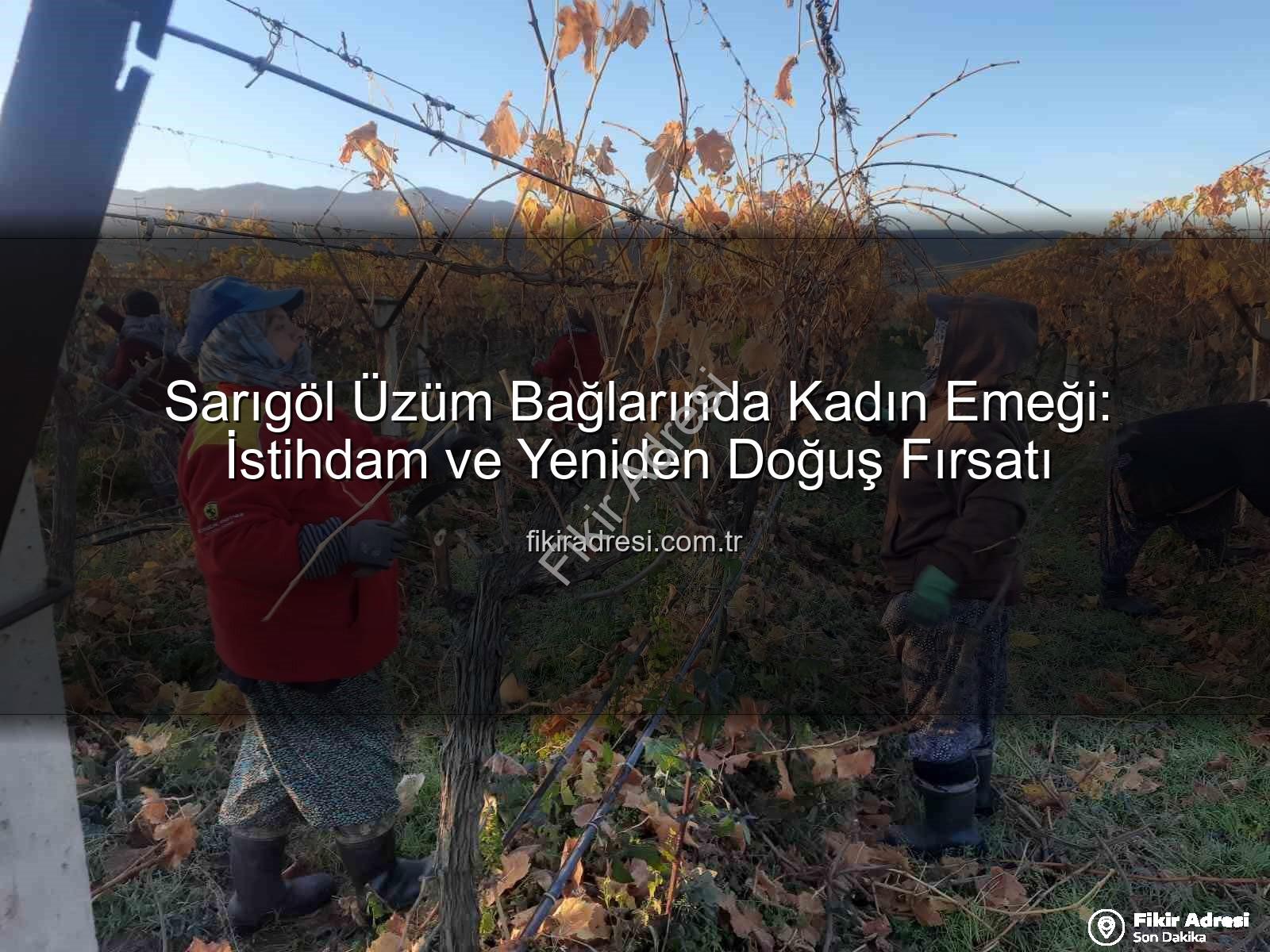 kadın istihdamı - Sarıgöl Üzüm Bağlarında Kadın Emeği: İstihdam ve Yeniden Doğuş Fırsatı