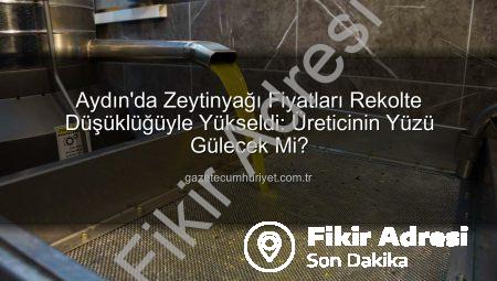 Aydın Zeytinyağı Fiyatları Rekor Artışla Belirlendi: Üreticinin Yüzü Gülecek Mi?