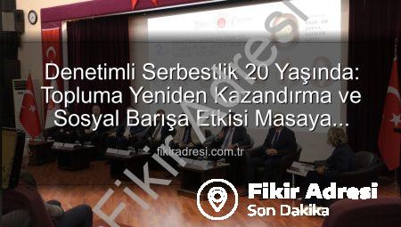 Denetimli Serbestlik 20 Yaşında: Topluma Yeniden Kazandırma ve Sosyal Barışa Etkisi Masaya Yatırıldı